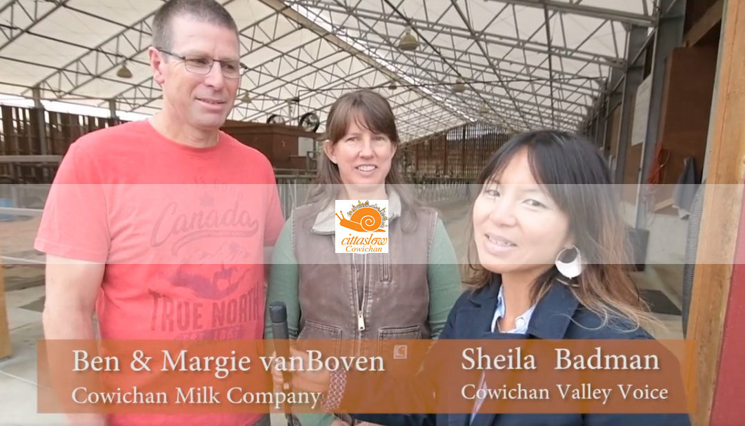 The Cowichan Milk Company a family farm in the Cowichan Valley